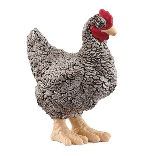 Kokoška