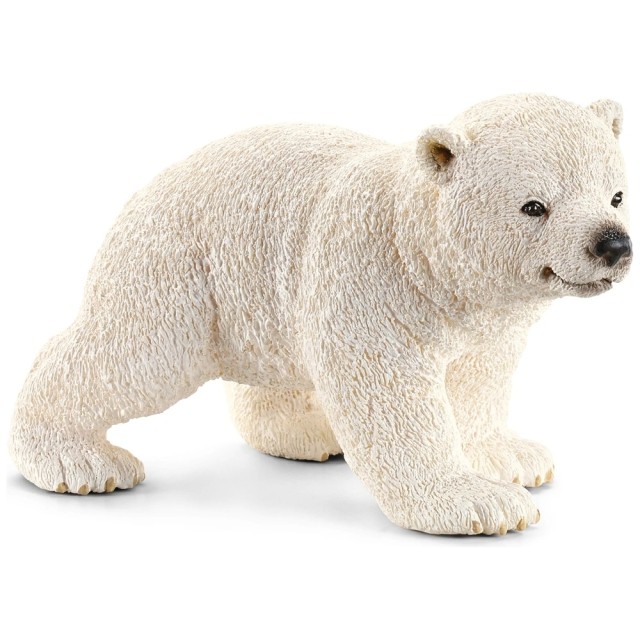Polarni medved mladunče,šeta Polarni medved mladunče,šeta