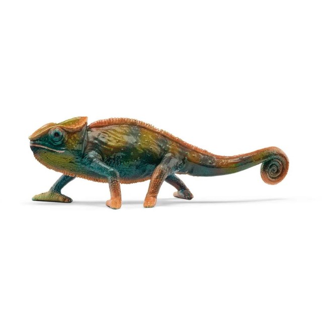 Kameleon Kameleon