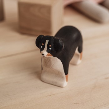 Meshka - Pas - Bernese mountain