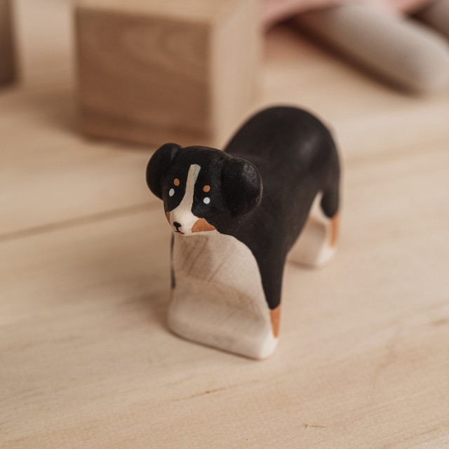 Meshka - Pas - Bernese mountain